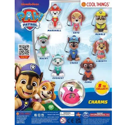 50mm Paw patrol charms